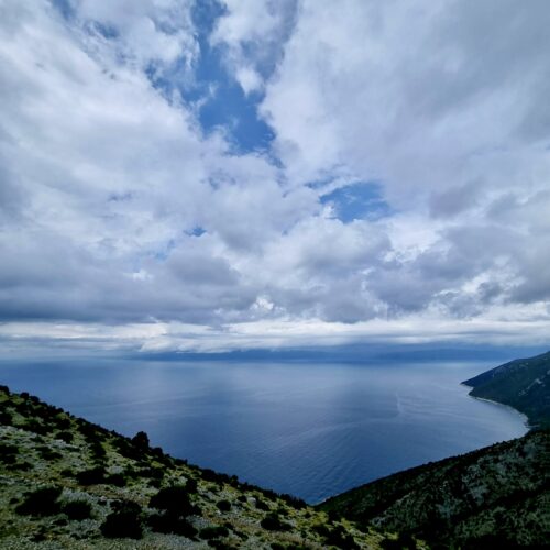 64c56c67f3293863956c3283_4c27ce21-cf77-4686-9971-39115b2ecc1c