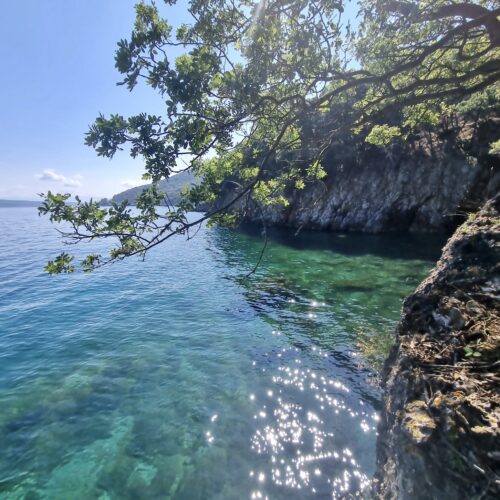 64c56c700be586e88b3770ec_555c55c8-2dcb-40bd-a851-9c17682d9e8b