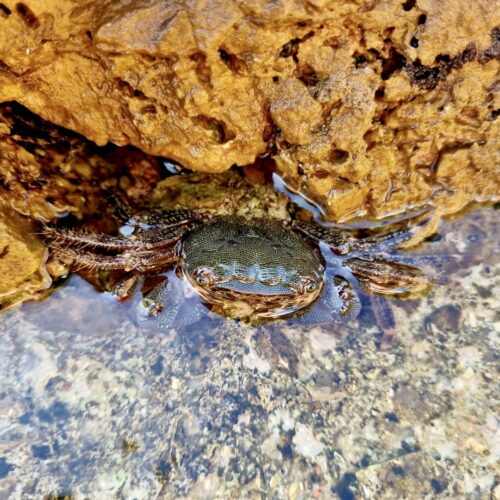 64c571469dd83098b31bc10b_b8bda010-bb63-4bc0-90cf-25ff6c313646(1)