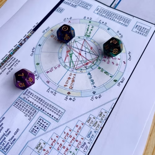 6818792aa3127064175de371_648f71b8c9712ff4920c2385_IMG_3779-p-800